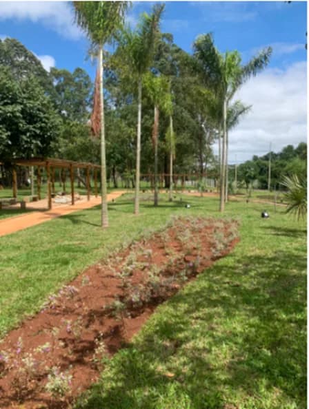 Paisagismo — Parque do Sabiá — registro 5 da execução